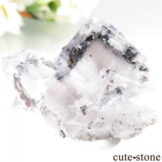 フローライト原石　エミリオ鉱山①　鉱物標本　天然石 スペイン エミリオ鉱山産 フローライト – 天然石ハッピーギフト