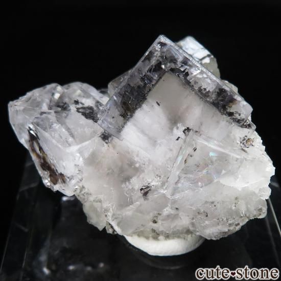 ڥ Emilio Mine ե饤Ȥθ No.27μ̿1 cute stone