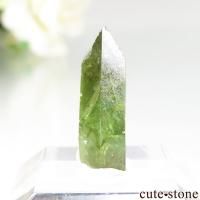 cute stone |アイテムの検索(7,001円~10,000円) cute stone |アイテムの検索(7,001円~10,000円)