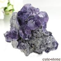  ʡʻ ե饤Ȥθ No.43β