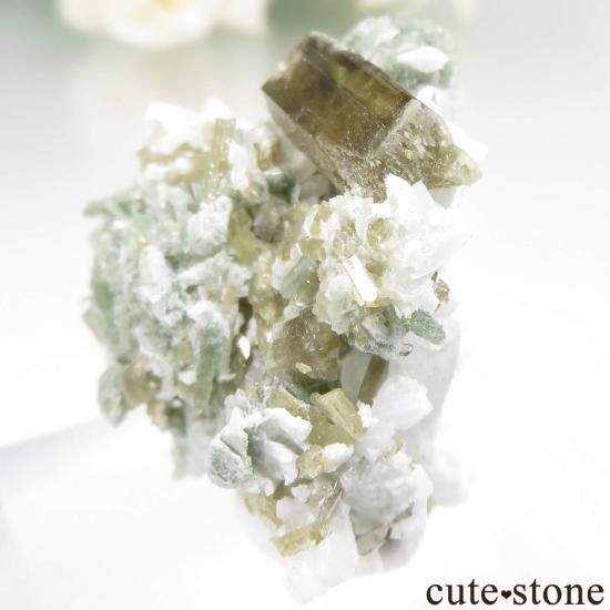 ѥ Shigar ԥɡȡХȤθ No.1μ̿1 cute stone