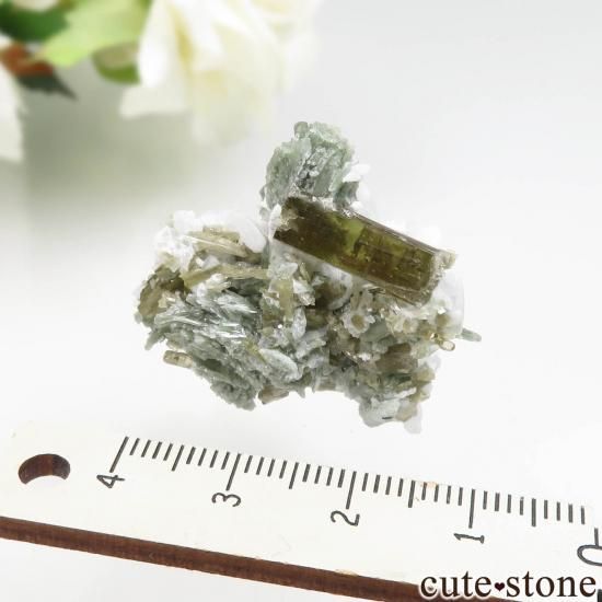 ѥ Shigar ԥɡȡХȤθ No.1μ̿3 cute stone