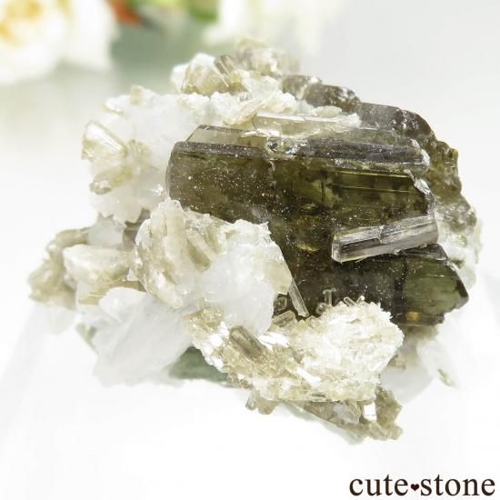 ѥ Shigar ԥɡȡХȤθ No.2