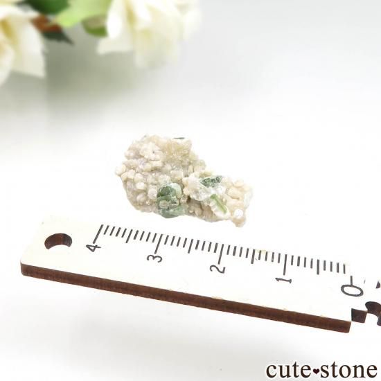 ѥ Stak Nala ꡼ȥޥ⥹ХȤդ No.17μ̿1 cute stone