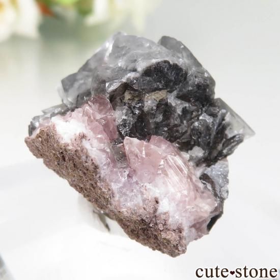 를 륵ȡԥ󥯥᥸Ȥθ No.21μ̿0 cute stone