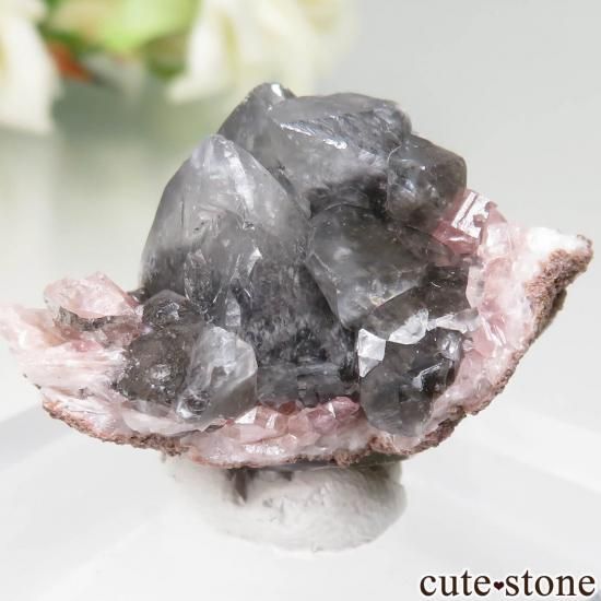 를 륵ȡԥ󥯥᥸Ȥθ No.21μ̿1 cute stone