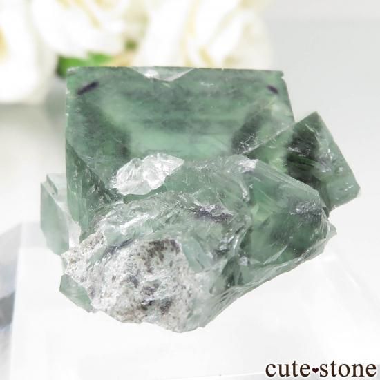  Xianghualing Mine ꡼ե饤Ȥθ No.59μ̿1 cute stone