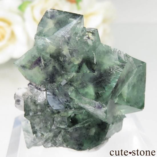  Xianghualing Mine ꡼ե饤Ȥθ No.61