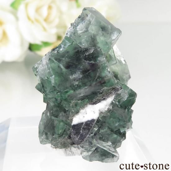 中国 Xianghualing Mine産 グリーンフローライトの原石 No.61の写真0 cute stone