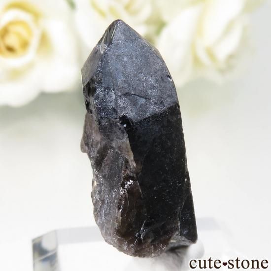 饤 Khoroshiv 󥴡 - ꥪ(徽)θ No.15μ̿0 cute stone