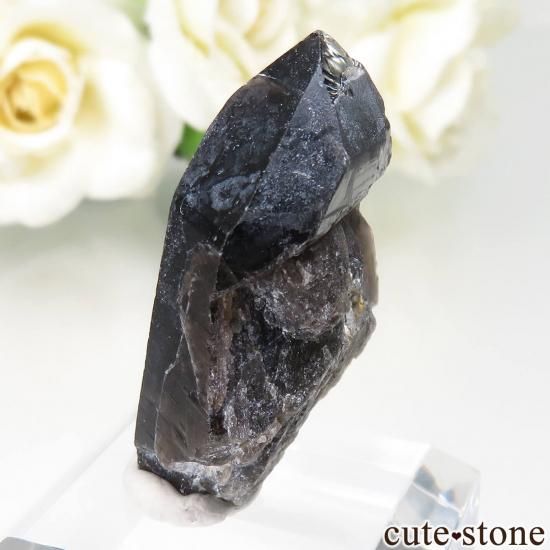 饤 Khoroshiv 󥴡 - ꥪ(徽)θ No.15μ̿1 cute stone