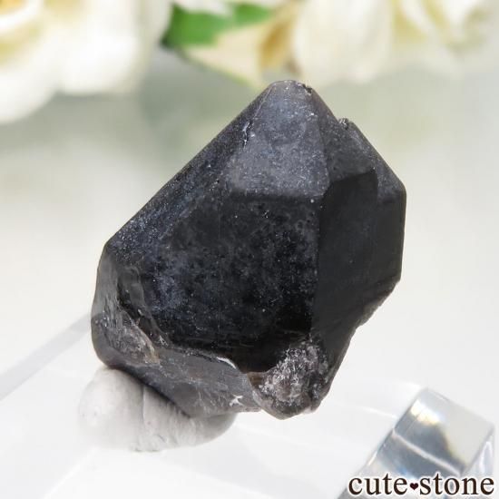 ウクライナ Khoroshiv産 カンゴーム - モリオン(黒水晶)の原石 No.18の写真1 cute stone