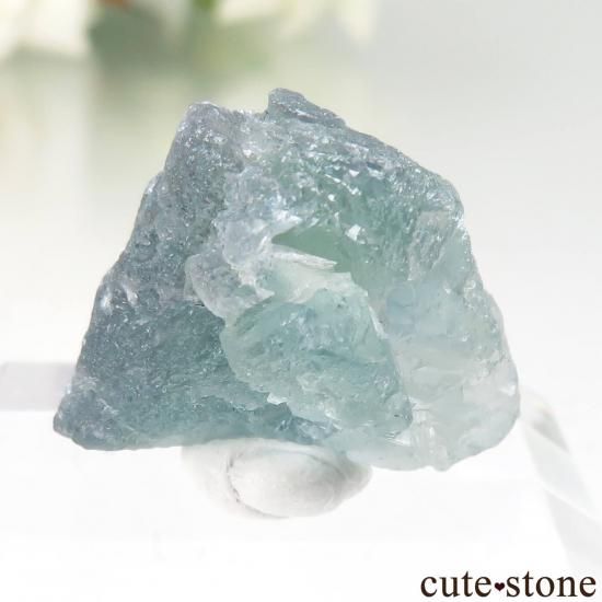 ȥꥢ Weibeck area ꡼֥롼ե饤Ȥθ No.2μ̿1 cute stone