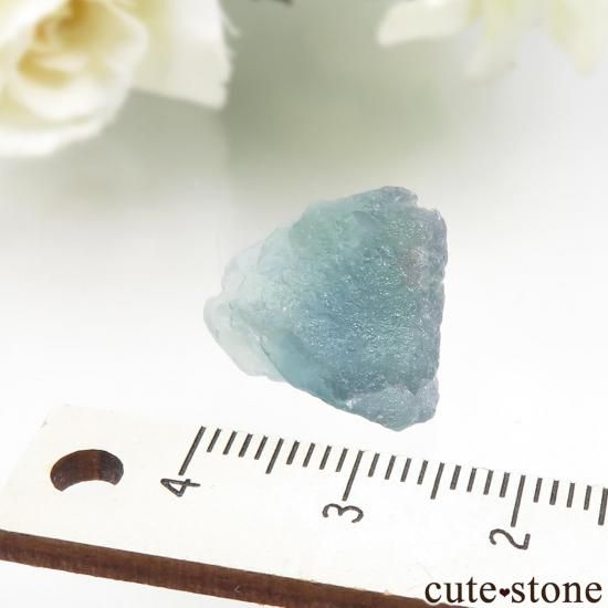 ȥꥢ Weibeck area ꡼֥롼ե饤Ȥθ No.2μ̿3 cute stone