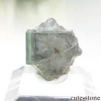 cute stone |アイテムの検索(0円~3,000円) のアイテム cute stone |アイテムの検索(0円~3,000円) のアイテム
