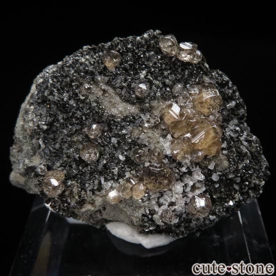 ʥ ٥å Jeffrey Mine å顼ͥåȤθ No.22