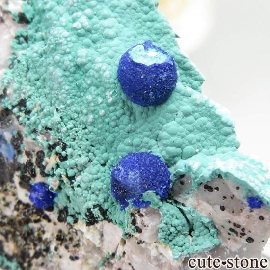 ɥ Clara Mine 饤ȡޥ饫Ȥθ No.1μ̿1 cute stone