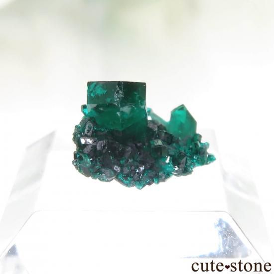 コンゴ共和国 Mindouli産 ダイオプテーズの原石 No.24の写真1 cute stone