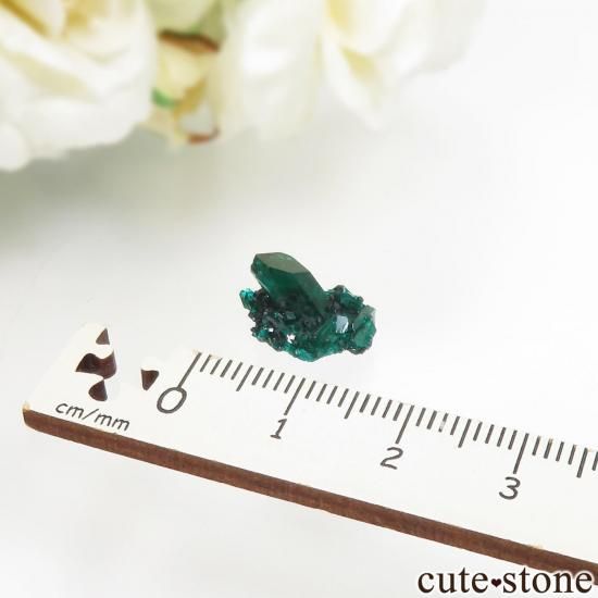 コンゴ共和国 Mindouli産 ダイオプテーズの原石 No.24の写真3 cute stone