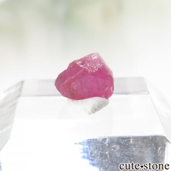 󥶥˥ ʥӡ - եˤθ No.4μ̿1 cute stone