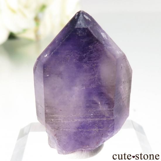 ʥߥӥ ֥ɥС Goboboseb ᥸Ȥθ No.8μ̿1 cute stone