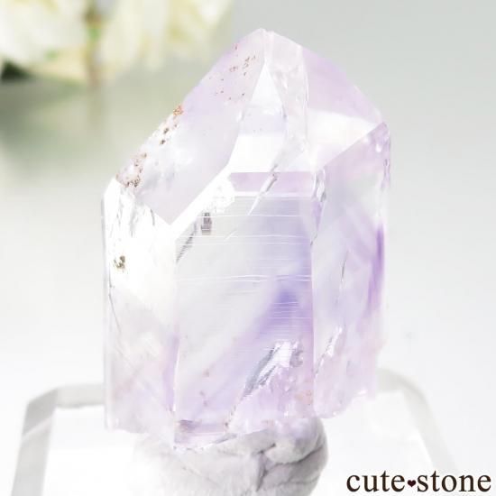 ʥߥӥ ֥ɥС Goboboseb ᥸Ȥθ No.9μ̿1 cute stone