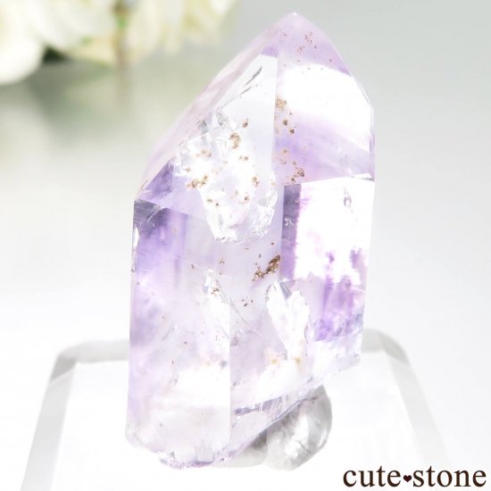 ʥߥӥ ֥ɥС Goboboseb ᥸Ȥθ No.9μ̿2 cute stone