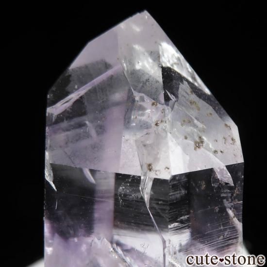 ʥߥӥ ֥ɥС Goboboseb ᥸Ȥθ No.9μ̿3 cute stone