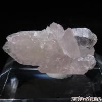 ֥饸 Pitorra claim Ĥη뾽 No.5β