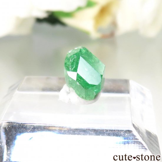 󥶥˥ ĥܥ饤ȡʥå顼ͥåȡˤθ No.37μ̿0 cute stone