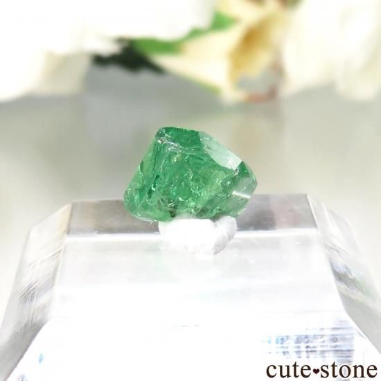 󥶥˥ ĥܥ饤ȡʥå顼ͥåȡˤθ No.37μ̿1 cute stone