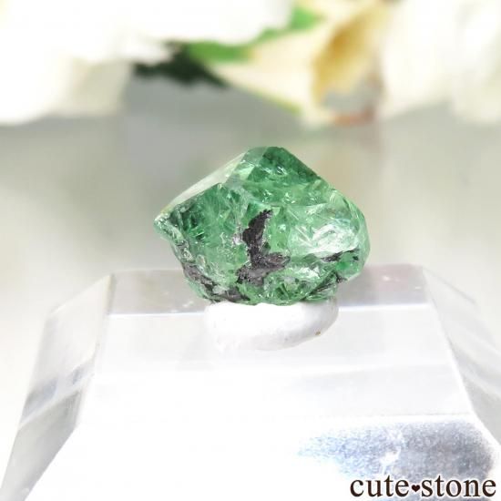 󥶥˥ ĥܥ饤ȡʥå顼ͥåȡˤθ No.38μ̿1 cute stone
