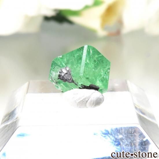 󥶥˥ ĥܥ饤ȡʥå顼ͥåȡˤθ No.39μ̿1 cute stone