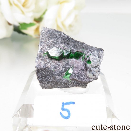 cute stone お客様の声