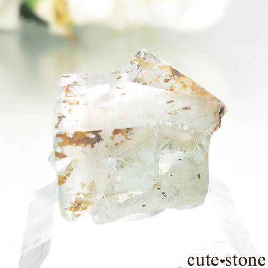 󥰥 Rogerley Mineۻ ָ ե饤Ȥθ No.25μ̿1 cute stone