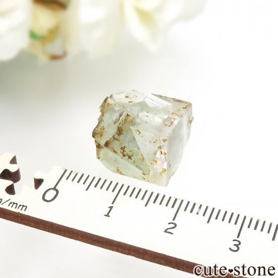 󥰥 Rogerley Mineۻ ָ ե饤Ȥθ No.25μ̿3 cute stone