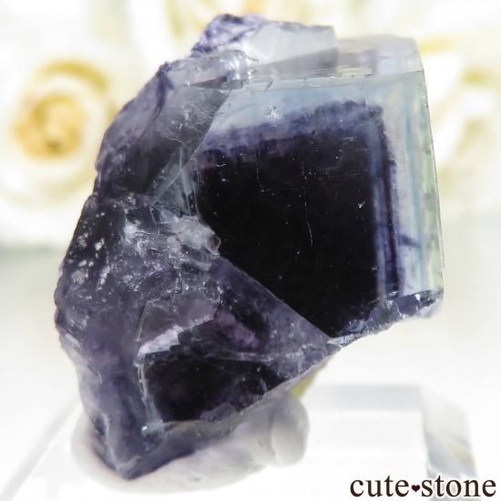 󥴥뼫 Yindu ե饤Ȥθ No.21μ̿0 cute stone
