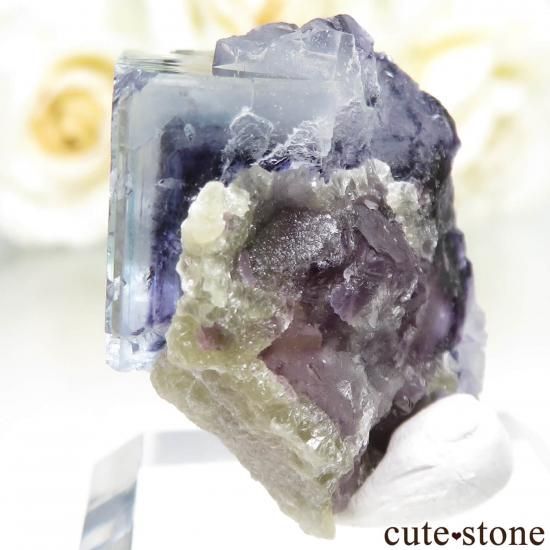 󥴥뼫 Yindu ե饤Ȥθ No.21μ̿2 cute stone