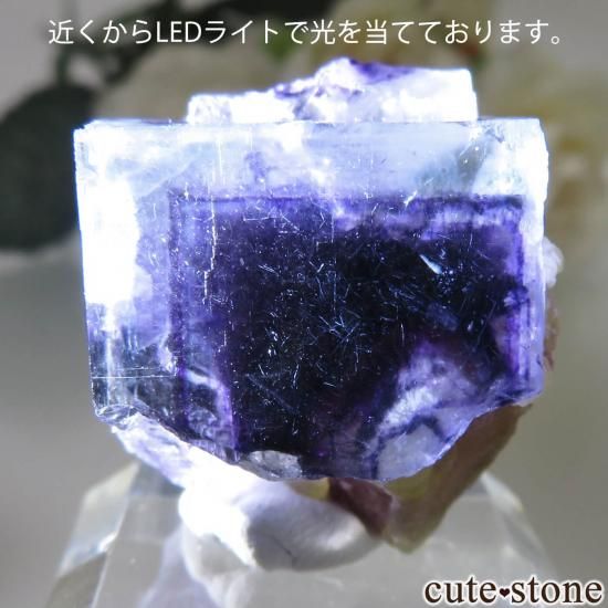 󥴥뼫 Yindu ե饤Ȥθ No.21μ̿3 cute stone