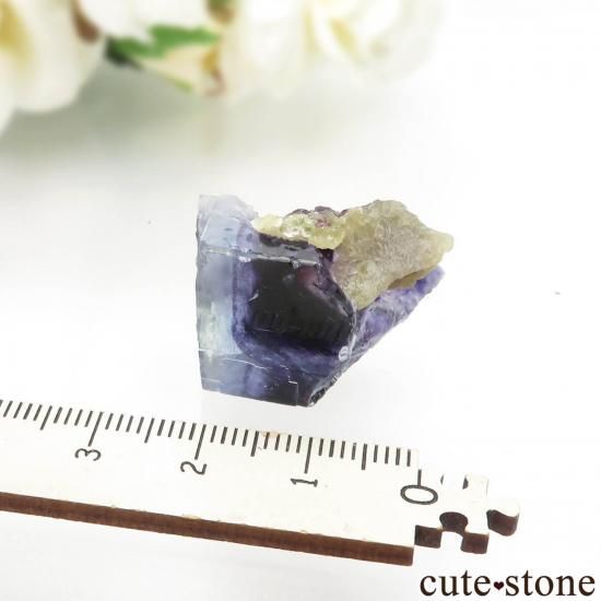 󥴥뼫 Yindu ե饤Ȥθ No.21μ̿4 cute stone