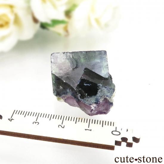 󥴥뼫 Yindu ե饤Ȥθ No.23μ̿4 cute stone