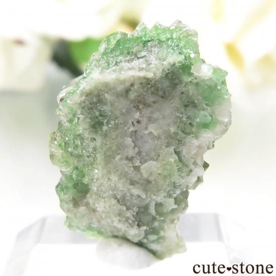 ʥ Jeffrey Mine ꡼󥰥å顼ͥåȡʥեååˤθ No.2μ̿1 cute stone