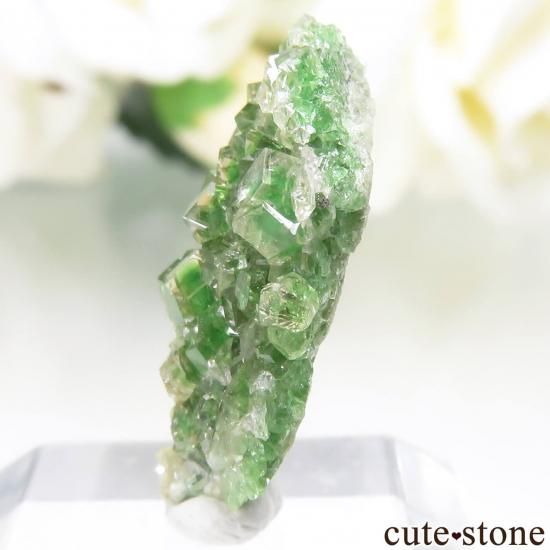 カナダ Jeffrey Mine産 グリーングロッシュラーガーネット