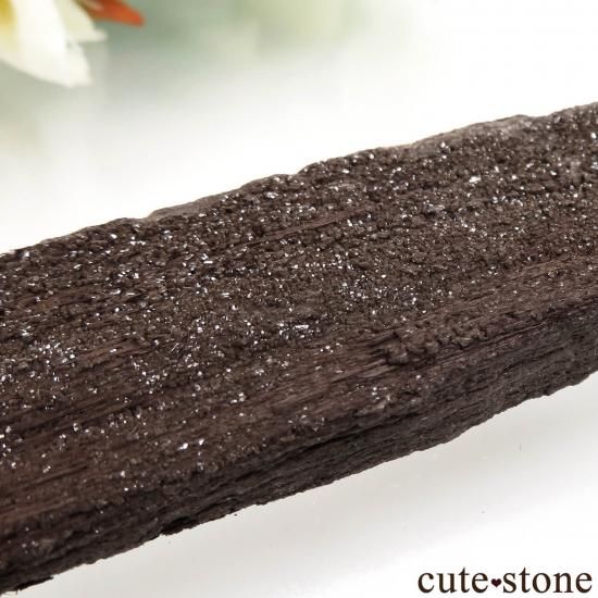 ドイツ Zwenkau産 ペトリファイドウッド(珪化木)&クォーツ No.5の写真0 cute stone