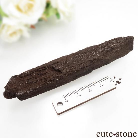 ドイツ Zwenkau産 ペトリファイドウッド(珪化木)&クォーツ No.5の写真1 cute stone