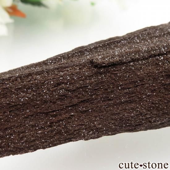 ドイツ Zwenkau産 ペトリファイドウッド(珪化木)&クォーツ No.6の写真0 cute stone