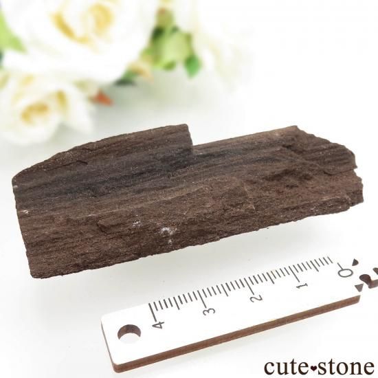ドイツ Zwenkau産 ペトリファイドウッド(珪化木)&クォーツ No.6の写真1 cute stone