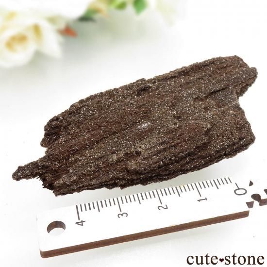 ɥ  Zwenkau ڥȥեɥåɡʷڡˡ No.7μ̿1 cute stone