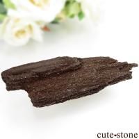 ペトリファイドウッド(珪化木)の意味・鉱物辞典 cute stone ペトリファイドウッド(珪化木)の意味・鉱物辞典 cute stone