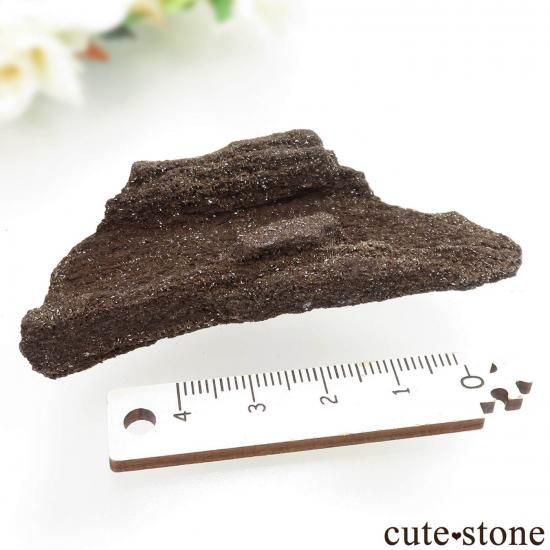 ɥ  Zwenkau ڥȥեɥåɡʷڡˡ No.8μ̿1 cute stone